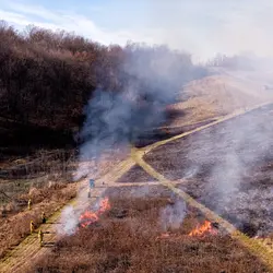 December 2017 (The Wilds)